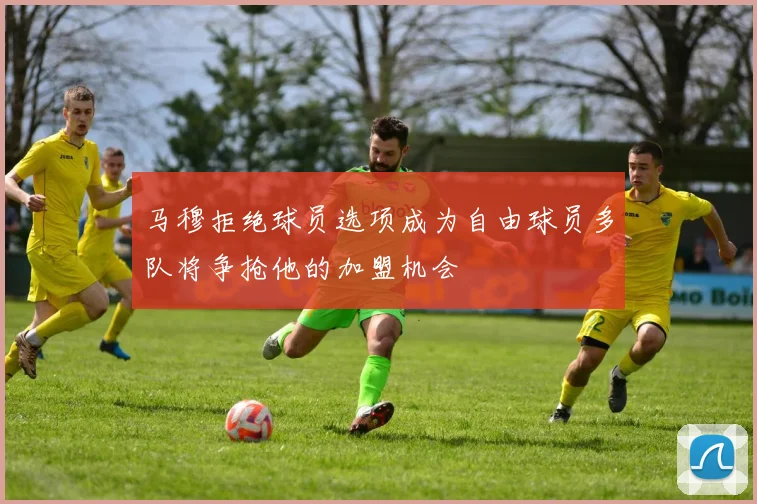 马穆拒绝球员选项成为自由球员多队将争抢他的加盟机会
