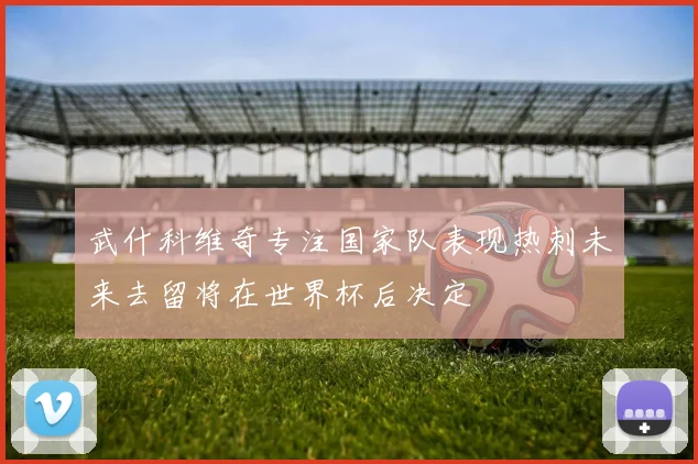 武什科维奇专注国家队表现热刺未来去留将在世界杯后决定